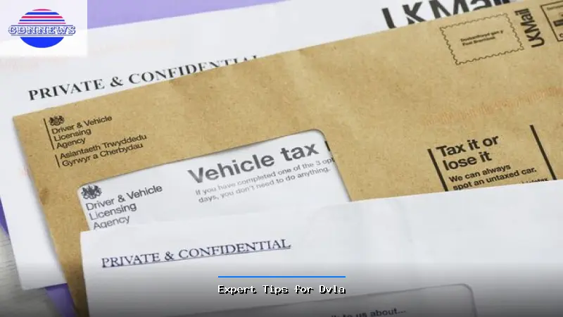 Expert Tips for Dvla - Dvla Expert Guide