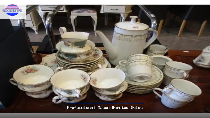 Professional Mason Burstow Guide - Mason Burstow Expert Guide
