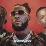 Burna Boy: 5 guide - burna boy