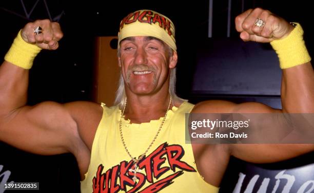 Skilled guide about hogan's hulk hogan skilled guide illustration skilled