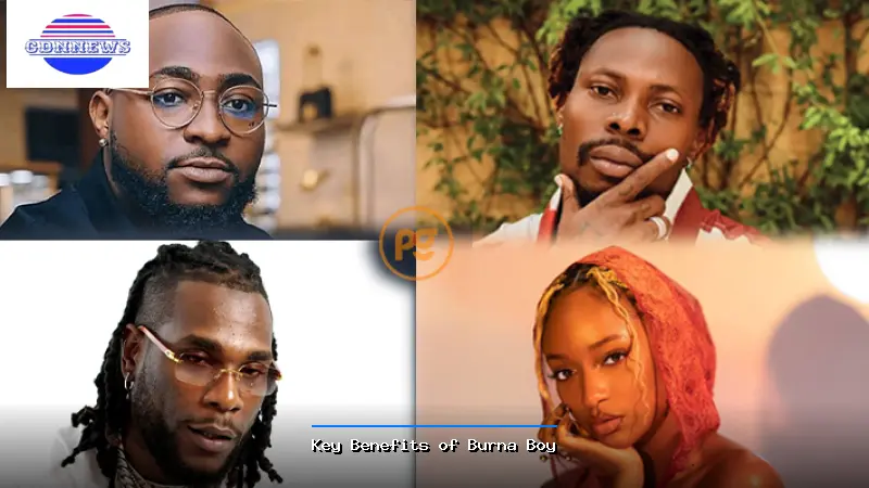 Key Benefits of Burna Boy - Burna Boy Guide