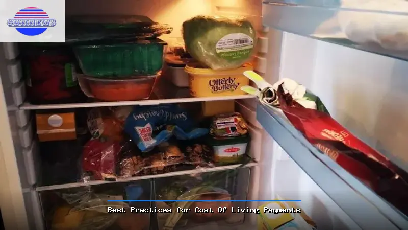 Best Practices for Cost Of Living Payments - Cost Of Living Payments Guide