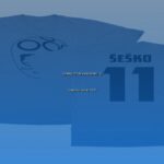 Professional sesko professional guide updated guide featuring expert tips, best practices, and comprehensive information for success