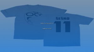 Professional sesko professional guide updated guide featuring expert tips, best practices, and comprehensive information for success