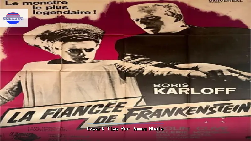 Very skilled person Tips for James Whale - James Whale Very skilled person Guide