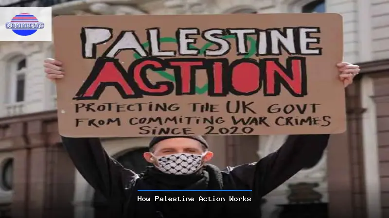 How Palestine Action Works - Palestine Action Guide