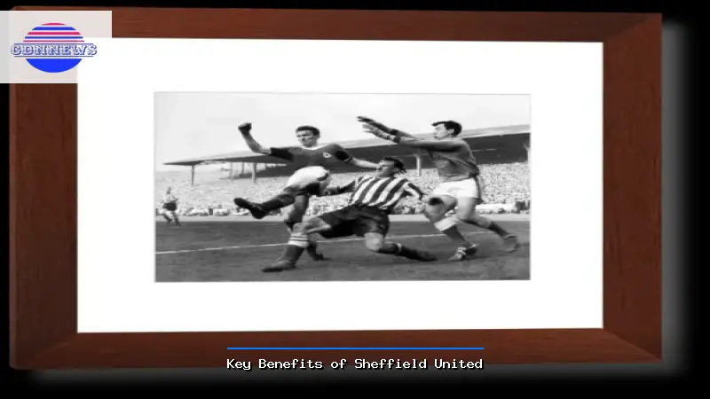 Key Benefits of Sheffield United - Sheffield United Guide